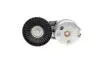 534066810 Натяжник ременя генератора Land Rover Discovery/Range Rover 2.7/3.0 04- INA підбір по vin на Brocar