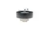 534066810 Натяжник ременя генератора Land Rover Discovery/Range Rover 2.7/3.0 04- INA підбір по vin на Brocar