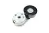 534066810 Натяжник ременя генератора Land Rover Discovery/Range Rover 2.7/3.0 04- INA підбір по vin на Brocar