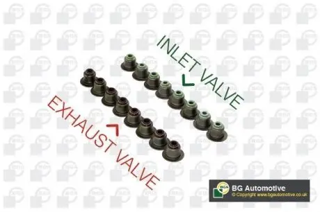 VK5371 Сальники клапанов 7mm 1.9/2.5dTi T4/T5/VW/Citroen/Renault (к-кт) BGA підбір по vin на Brocar