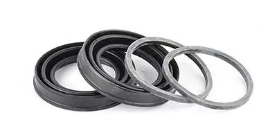 BSG30251016 Ремкомплект гальмівного супорта перед. Transit (V184) 00- (48mm) BSG купити з гарантією на Brocar BSG30251016 Ремкомплект гальмівного супорта перед. Transit (V184) 00- (48mm) BSG підбір по vin на Brocar