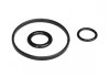 Уплотнительные кольца теплообменника Kangoo II 08- (к-кт) 55289