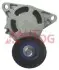Натяжитель ремня генератора Master/Movano 2.2/2.5 dCi 00- RT1786
