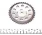 559002430 Комплект ланцюга ГРМ Opel Astra G/Corsa C 1.2i/Combo 1.4i 98- INA підбір по vin на Brocar