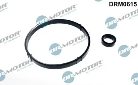 DRM0615 Комплект прокладок впускного колектора 2 елементи DR.MOTOR підбір по vin на Brocar