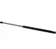 Амортизатор багажника T4 (570/240mm 910N) (+дворник) 1181212000
