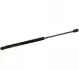 Амортизатор багажника Fabia -08 (440/169mm 600N) 1181203200