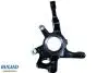 Цапфа перед. ліва LAND ROVER RANGE ROVER III (LM) 02-10 BSP25379