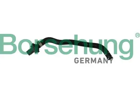 B11970 Соединительный шланг с обратным клапаном (OE) BORSEHUNG подбор по vin на Brocar