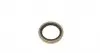 GK1333 Подшипник ступицы (задней) Ford Escort 90-99/Mazda 121 96-03 (29x50.3x17.5)(к-кт) GSP підбір по vin на Brocar