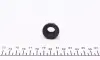 0233018 Гайка колісна (M14x1.5) TRUCKTEC підбір по vin на Brocar