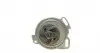 1510 Помпа води VW T4 2.4D/2.4D Syncro/2.5/2.5 Syncro 57kw/81kw 90-03 (18z) AIRTEX підбір по vin на Brocar