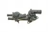 B19087 Термостат VW Polo/Skoda Fabia 1.4/1.6 09-16 (83°C/87°C) (з трубкою) BORSEHUNG підбір по vin на Brocar