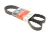 Ремень поликлиновый Gates 7PK1570