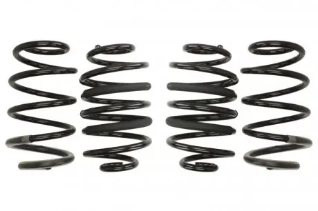 E10250370122 Комплект пружин (Pro-Kit) MB Vito (W447) 14- (4 шт.) EIBACH подбор по vin на Brocar