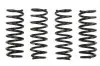 Комплект пружин (Pro-Kit) BMW 5 (F10/F90/G30) (4 шт.) E10-20-022-01-22