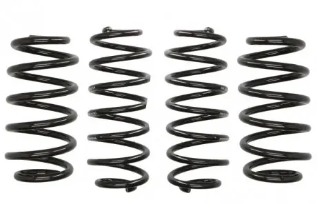 E10150110122 Комплект пружин підвіски EIBACH підбір по vin на Brocar