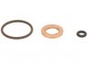 Уплотнительное кольцо для форсунок (к-т) 31272771