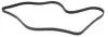 1745K6 Ремень генератора Ford Connect 1.8TDCi 06-14/Citroen C5 2.0HDi 00- (6PK1745) HUTCHINSON підбір по vin на Brocar