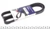 Ремінь генератора Citroen Berlingo/Fiat Ducato 1.8/1.9D /Citroen Jumper 3.0HDI 96- (6PK1160) 1160 K 6