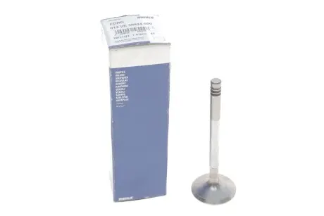 013VE30934000 Клапан двигуна MAHLE / KNECHT підбір по vin на Brocar