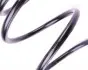 4027579 Пружина (передня) Ford Mondeo III 2.0-2.2TDCi/TDDi/DI 00-07 (седан/унив/нак.зад.ч)(без спорт.ход.ч) LESJOFORS підбір по vin на Brocar