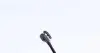 WS0154A Датчик износа тормозных колодок (задних) BMW 7 (E38) 94-01 (L=625mm) QUICK BRAKE підбір по vin на Brocar