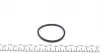 254922 Ремкомплект суппорта (переднего) BMW 3 (E46) 98-07 (d=54mm) (+поршень) (Ate) FRENKIT підбір по vin на Brocar