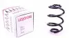 Пружина (задня) BMW 3 (E36) 316i/318i/is/tds/320i/323i/325i/td/tds 90-99 (седан/купе)(з пост.діам.) 4208403