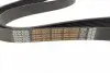8PK1425HD Ремень генератора MB Vario OM904 DAYCO підбір по vin на Brocar