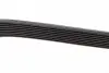 8PK1425HD Ремень генератора MB Vario OM904 DAYCO підбір по vin на Brocar