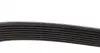 8PK1365HD Ремінь генератора MB Atego/Axor/Econic/Cito 98- DAYCO підбір по vin на Brocar