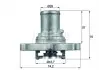 TI12287D Термостат MAHLE / KNECHT підбір по vin на Brocar