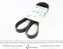 FB8PK1390 Ремень генератора BMW X5 (F15/F85)/ X6 (F16/F86) 3.5i 13- INA підбір по vin на Brocar