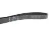 FB6PK1863 Ремінь генератора MB C-class (W202) 2.0 95-01, більше недоступний INA підбір по vin на Brocar