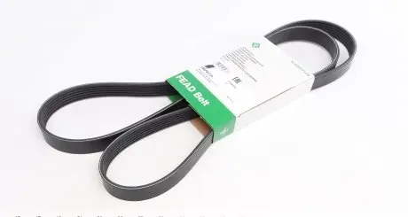 FB6PK1725 Ремінь генератора Opel Vectra/Omega/Peugeot 206/Audi A6 2.5TDI 94- INA підбір по vin на Brocar