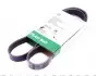 Ремень генератора Citroen Jumper 2.0HDI FB 6PK1183