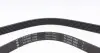 FB6PK1180 Ремінь генератора Citroen Jumper/Fiat Ducato/Peugeot Boxer 2.0/2.2HDi/JTD 02- INA підбір по vin на Brocar
