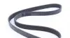 FB6PK1120 Ремень генератора VW T5 1.9TDI/2.0TDI 03- (PS) INA підбір по vin на Brocar