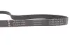 FB6PK1100 Ремень генератора Fiat Ducato 2.0 94- /VW Caddy 1.4 04- (6PK1100) INA підбір по vin на Brocar