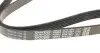 6PK1087 Ремінь генератора VW Golf V/VI/Passat VI/VII/Tiguan/Touran 1.4TSI/FSI/1.6 FSI 03-18 DAYCO підбір по vin на Brocar