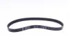 FB6PK800 Ремень генератора Citroen Berlingo/Peugeot Partner 1.6HDI (6PK800) INA підбір по vin на Brocar