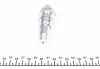 551023610 Натяжитель цепи ГРМ BMW 3 (E36/E46)/5 (E34/E39/E60) 2.0-3.0 90-10, M54 B30 (306S3) INA підбір по vin на Brocar