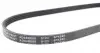 AD04R880 Ремінь генератора Mazda 323 1.3-1.8 -93/Hyundai Elantra 2.0 00-06/Toyota Camry 3.0 96-06 BLUE PRINT підбір по vin на Brocar