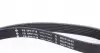 529024410 Комплект ремня генератора VW LT 2.5 TDI 96-06 (6PK1718) INA підбір по vin на Brocar