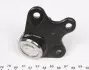 9395910256 Опора кульова (передня/знизу/L) Audi A2 00-05/Seat/Skoda Fabia 99-14/Roomster 06-15/VW Polo 01- RTS підбір по vin на Brocar