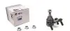 Опора кульова (передня/знизу/R) Audi A3/Skoda Octavia/SuperB/VW Caddy/Golf/Jetta/Touran/Tiguan 03- 93-05993-156