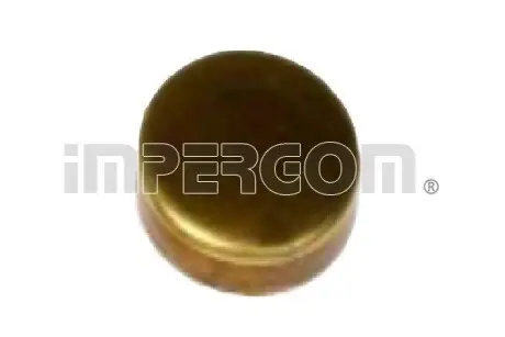 40982 Заглушка блока цилиндров (d=45mm) Латунь/Brass IMPERGOM подбор по vin на Brocar