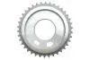 559015230 Комплект цепи ГРМ Ford Transit 2.4DI/2.2-2.4TDCI 06- (цепь, натяжитель, шестерня) INA підбір по vin на Brocar