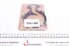 PA1247 Помпа води Ford C-Max II/Focus III/Mondeo V/Fiesta/Transit Courier 1.0 EcoBoost/1.1 12- (R/B)(6 лоп) GRAF підбір по vin на Brocar
